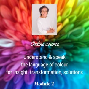 Module 2 - Insight, Transformation and Solutions